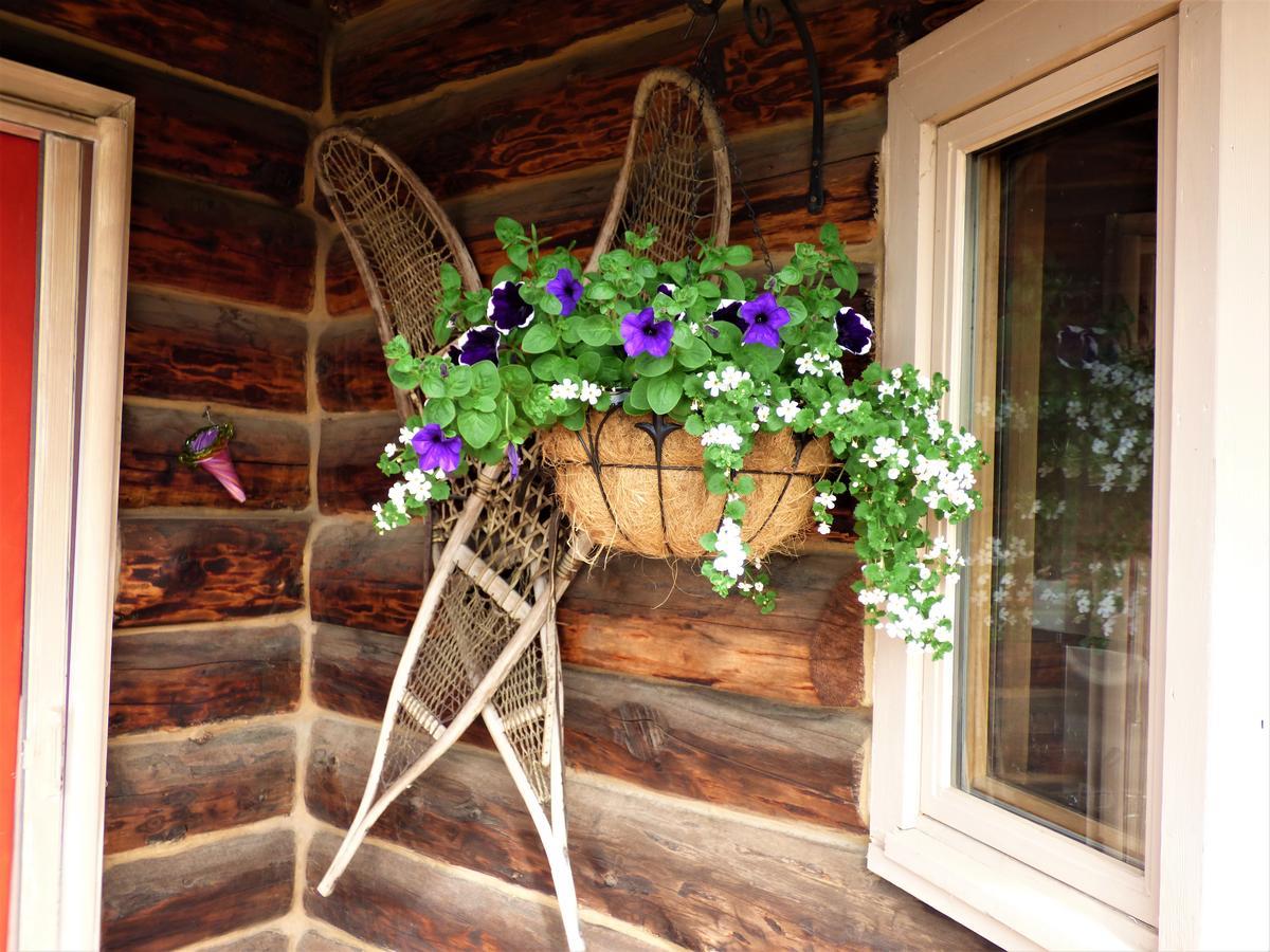 Juneberry Lodge Homer Exteriér fotografie