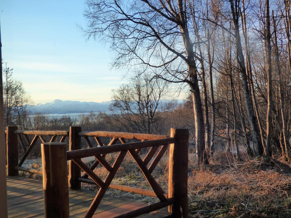 Juneberry Lodge Homer Exteriér fotografie