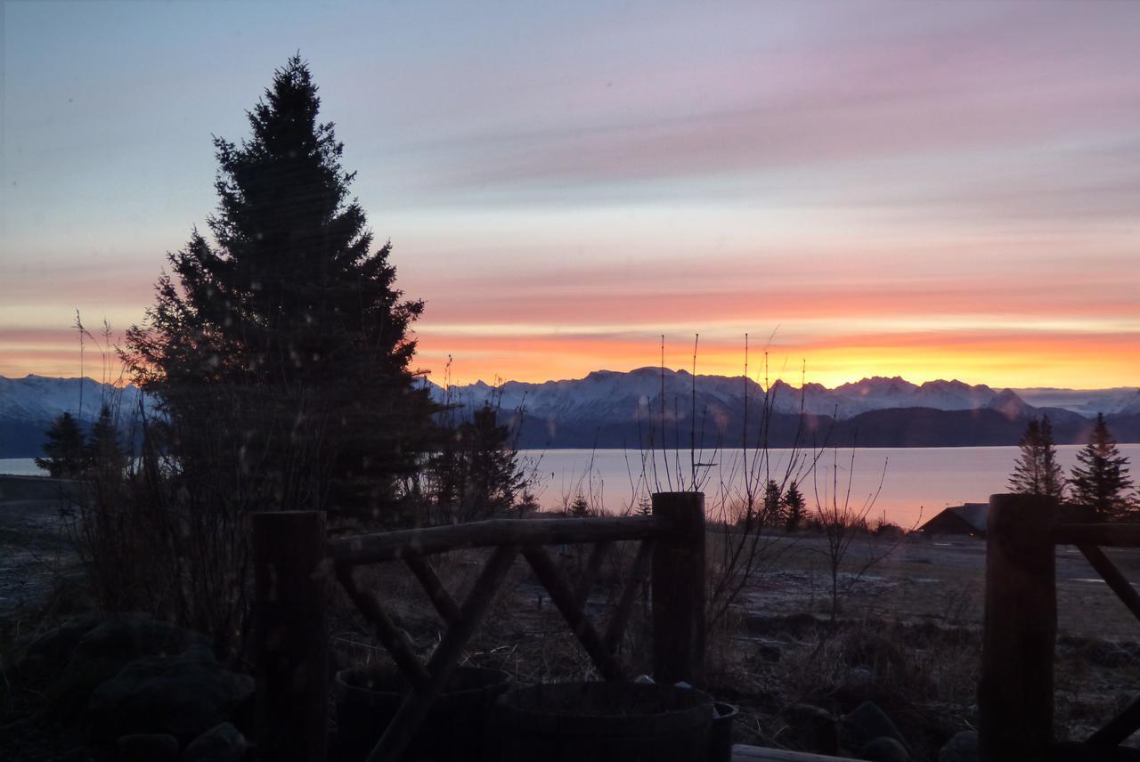 Juneberry Lodge Homer Exteriér fotografie