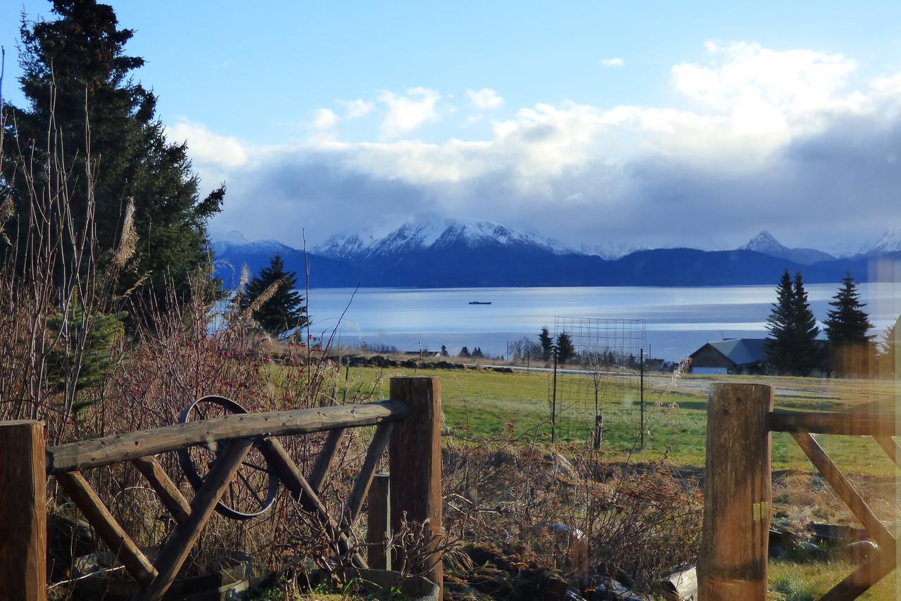 Juneberry Lodge Homer Exteriér fotografie