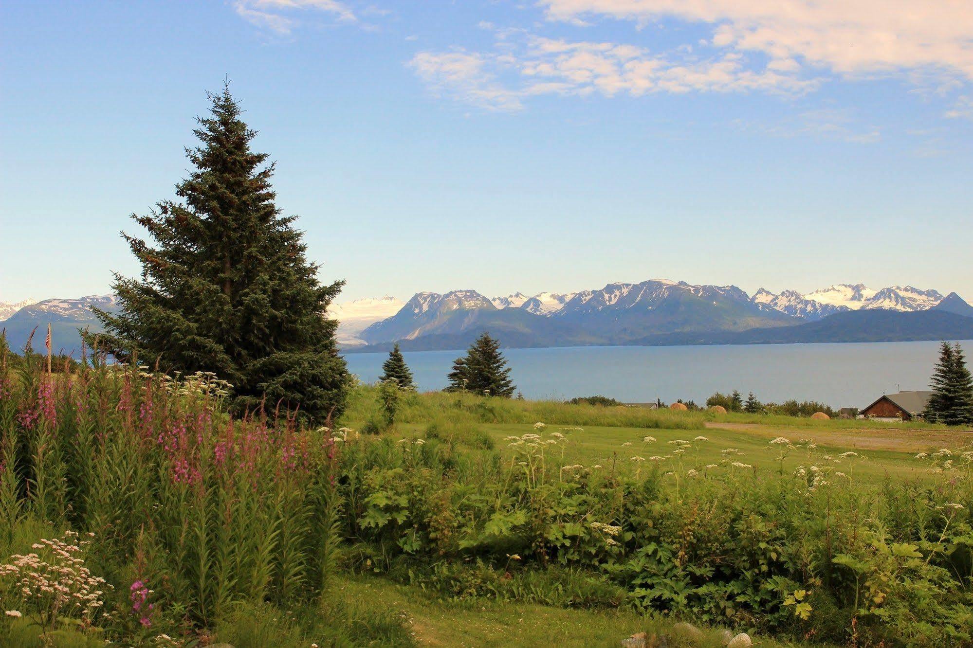 Juneberry Lodge Homer Exteriér fotografie